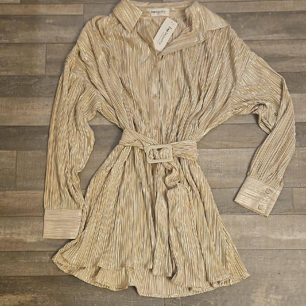 Champagne Pleated Shirt Dress